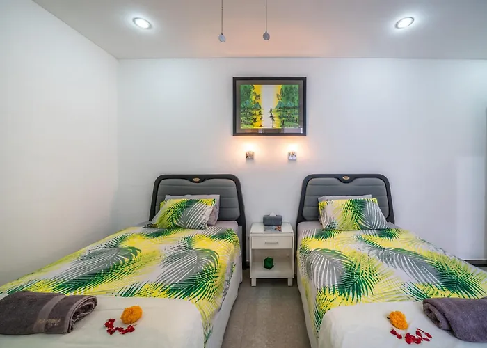 Modern With Private Pool , Full Kitchen And Parking